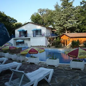 Oasis Bulgaria